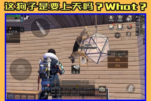 2026年还在找好玩的动作游戏？这5款藏在玩家私单里的神作，我连肝3晚没睡