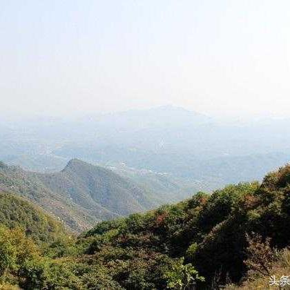 精灵龙宝宝隐藏机制全解密，为什么老玩家都在蹲凌晨3点的翡翠林地？