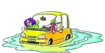 连环车祸解析：深度剖析《噬血代码2》全新价值体验