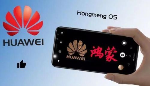 苹果创新再升级，库克描绘未来科技新蓝图