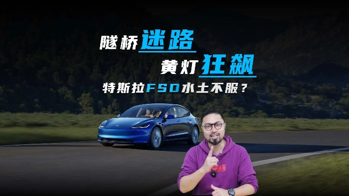 FSD助力特斯拉Model S均速103km/h,4958公里全程零接管挑战极限 FSD助力特斯拉Model S均速103km/h,4958公里全程零接管挑战极限
