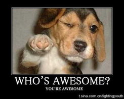 苍老师学狗萌态曝光,神秘眼镜女囧图新视角鉴赏 苍老师学狗萌态曝光,神秘眼镜女囧图新视角鉴赏