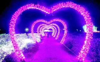 大促星空狂欢启！Rogue Duck联手游民星空，畅玩新体验！