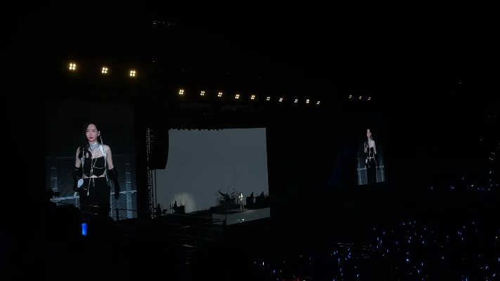 晕倒现场直击！于文文演唱会急救新视角