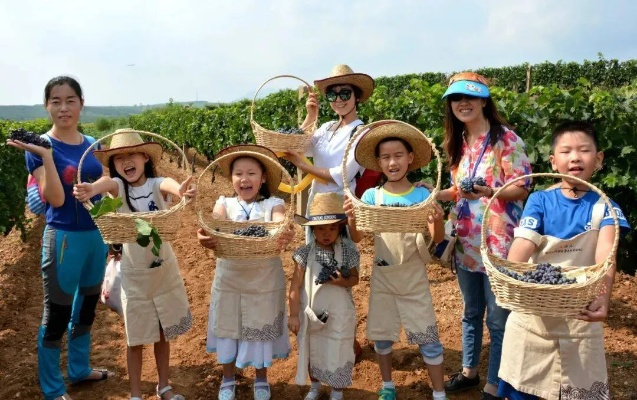田园乐活：告别“肝”生活，体验不“肝”田园新风尚