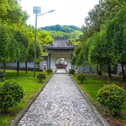 国宝私密视频再现江湖，挑战“翘的不过杠”传承新篇章