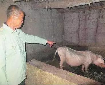 “小丑牌”变肉鸽！99%好评食堂阿姨神作《你有饼吗？》全新升级！