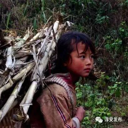 指数级强化！《菜园无双》Demo“真·割草”爽游，体验无双纯粹暴爽新境界！