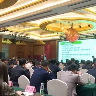 《合金彩虹：战术精英对决》