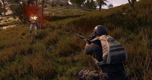 盲点战术射击新体验，PUBG俯视角吃鸡竞技盛宴