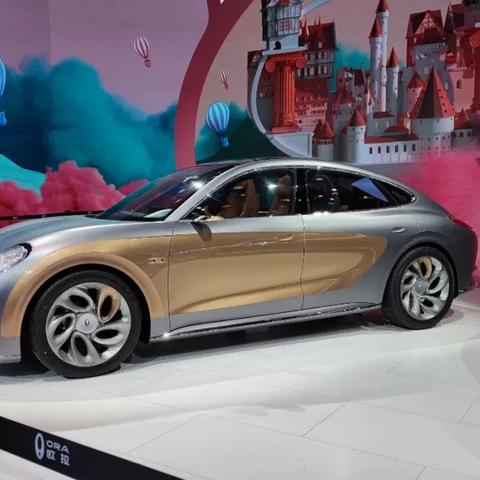 长城奇遇记：外国游客为撸猫而来，长城猫火遍全球