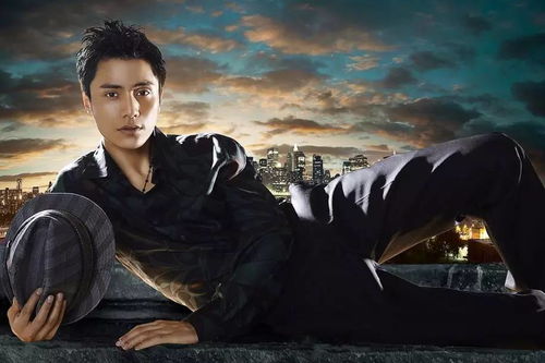 《黎明行者血统揭秘:设计师原创动作艺术解析》 《黎明行者血统揭秘:设计师原创动作艺术解析》