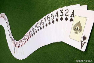 男女打扑克牌总玩成沉默局？4个实战套路让你们从各自出牌变一起上头