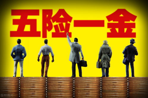 AI老板力邀精英,时薪500刀,薪资翻倍新机遇 AI老板力邀精英,时薪500刀,薪资翻倍新机遇