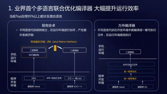 树王圣体菇采集路线2026绝密版,流浪者突破效率革命全解析 树王圣体菇采集路线2026绝密版,流浪者突破效率革命全解析