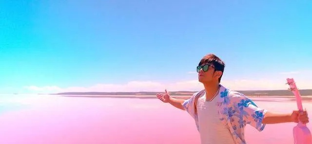 粉色海洋歌词2026实战拆解,方文山隐喻系统与周杰伦IP长效运营密码 粉色海洋歌词2026实战拆解,方文山隐喻系统与周杰伦IP长效运营密码