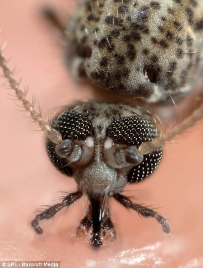 日厂神作傲视海外:蝇头小利视若珍宝 日厂神作傲视海外:蝇头小利视若珍宝