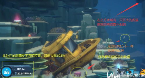 仅需24元畅游深海，《潜水员戴夫》手游全新发售，探索未知宝藏！