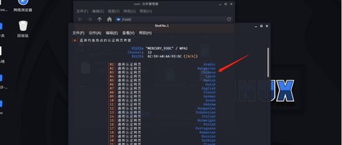 暗黑通交易系统暗藏什么门道？2026装备流通实战解密
