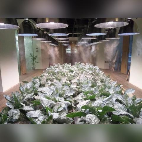 重温偷菜乐趣，畅玩全新《QQ经典农场》农场新体验