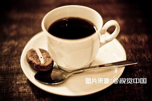 《咖啡店主理人模拟器》新游热销，体验经营新境界