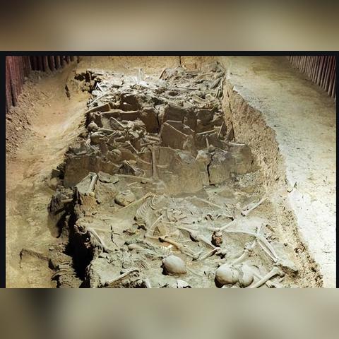 《恐惧幻觉》今春主机版惊艳来袭，好评如潮开放世界RPG再创新高