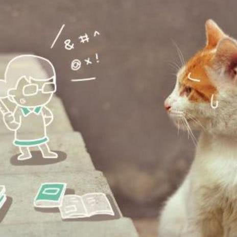 《喵喵结合》狂热体验，IGN9分好评，一玩通宵上瘾，沉浸式游戏新巅峰！