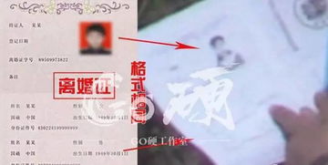 财尽亲疏揭秘：马蓉长文自爆，人生快进斩杀线边缘！