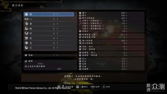 《仁王3》卡顿显存优化攻略，轻松提升游戏体验新境界