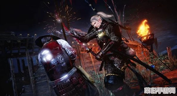 《仁王3》卡顿显存优化攻略，轻松提升游戏体验新境界