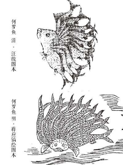 何罗鱼为何成版本答案？古神话生物的数值碾压逻辑