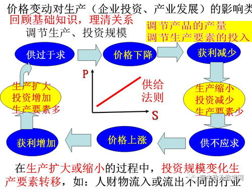 一、剧场版类型矩阵，你的入坑DNA决定观影路径