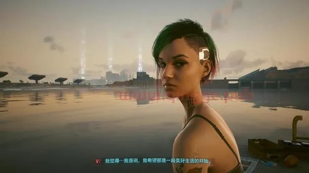 赛博朋克2077性偶类型与MOD扩展，2024终极玩法揭秘