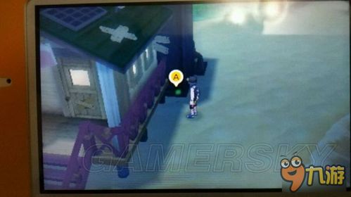 精灵宝可梦日月新手开局必看，3套阵容+Z招式隐藏机制效率翻倍