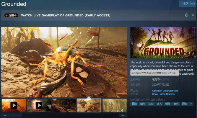 Greedland类型Build搭配，2024年Steam特别好评游戏的通关密码