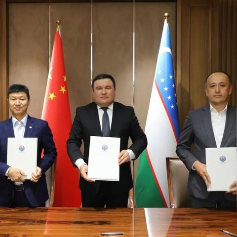 H1Z1决策疲劳破解，2024职业圈都在用的认知负荷管理术