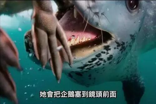 捕食者类型全解析,2024顶级掠食者强度榜与冷门逆袭套路揭秘 捕食者类型全解析,2024顶级掠食者强度榜与冷门逆袭套路揭秘