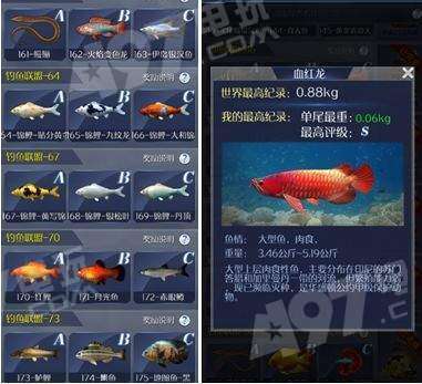 钓鱼游戏手感调校全揭秘，3大拟真机制与VR实战设置