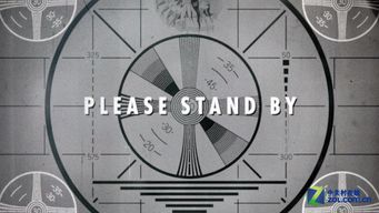 辐射4全屏设置黑屏闪退？2024实战验证的7个绝密技巧