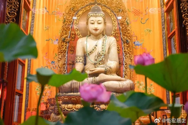 莲池佛地化圣九通关密码，2024最新效率刷法与隐藏机制全拆解