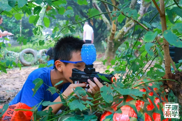 畅游森灵旅社，体验种菜砍树新乐趣！