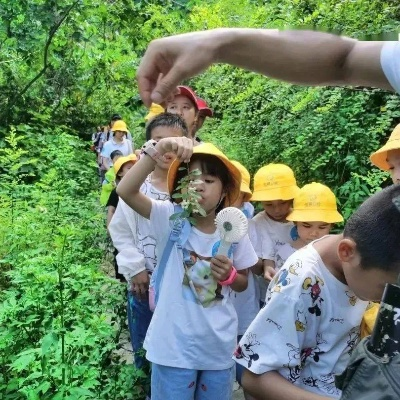 畅游森灵旅社，体验种菜砍树新乐趣！