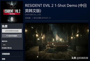 《生化4重制版》加密新招致性能大滑坡，揭秘性能优化新挑战