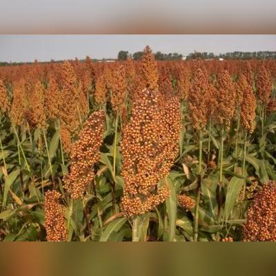 7月重磅!我国首部车用固态电池国标即将发布,创新引领未来动力革命 7月重磅!我国首部车用固态电池国标即将发布,创新引领未来动力革命