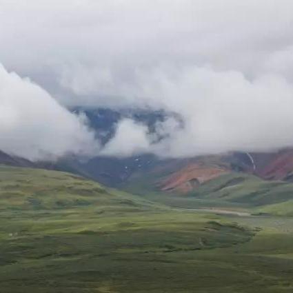 荒野奇影揭秘：神秘倒影新DLC怪物降临