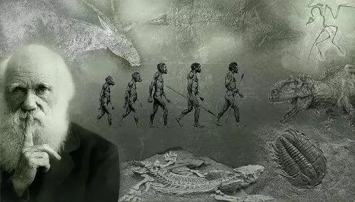 《达尔文悖论》新篇章，预购开启进化启航