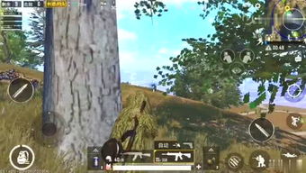 下风蚀地无相之草打不过？深渊玩家都在用的3套T0阵容+隐藏机制全拆解