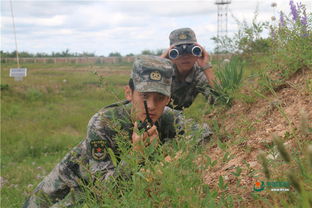 退伍老兵独闯荒野，斩杀线求生新纪元