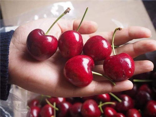 智利车厘子下架真相:胖东来严选品质,品质升级新体验 智利车厘子下架真相:胖东来严选品质,品质升级新体验