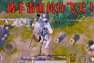 刀客传奇2025终极攻略，从菜鸟到霸主的7天速成法则